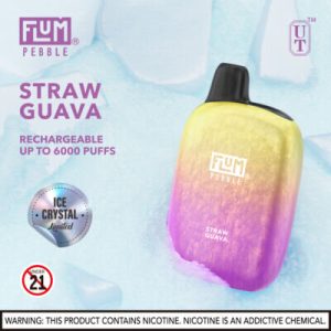 FLUM Pebble 6000 Puffs